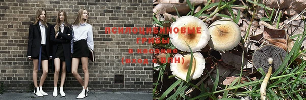 ГАЛЛЮЦИНОГЕННЫЕ ГРИБЫ Алзамай