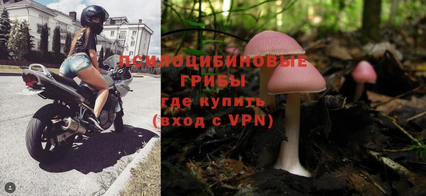 ГАЛЛЮЦИНОГЕННЫЕ ГРИБЫ Алексин